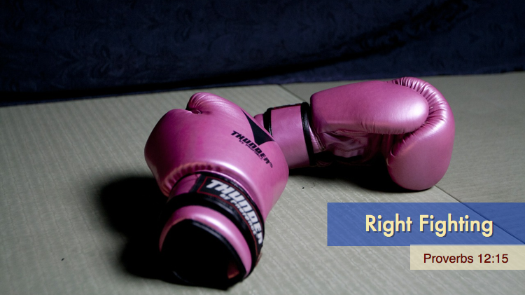 Right Fighting Gloves